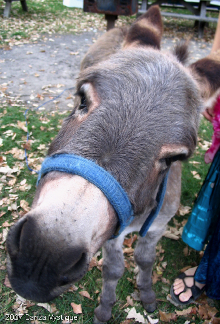 aimg_2252.jpg